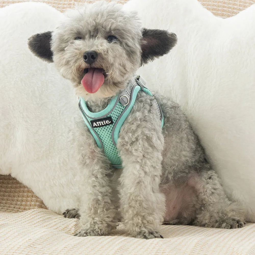 Aiitle Soft Adjustable Mesh Dog Harness Leash Set Turquoise