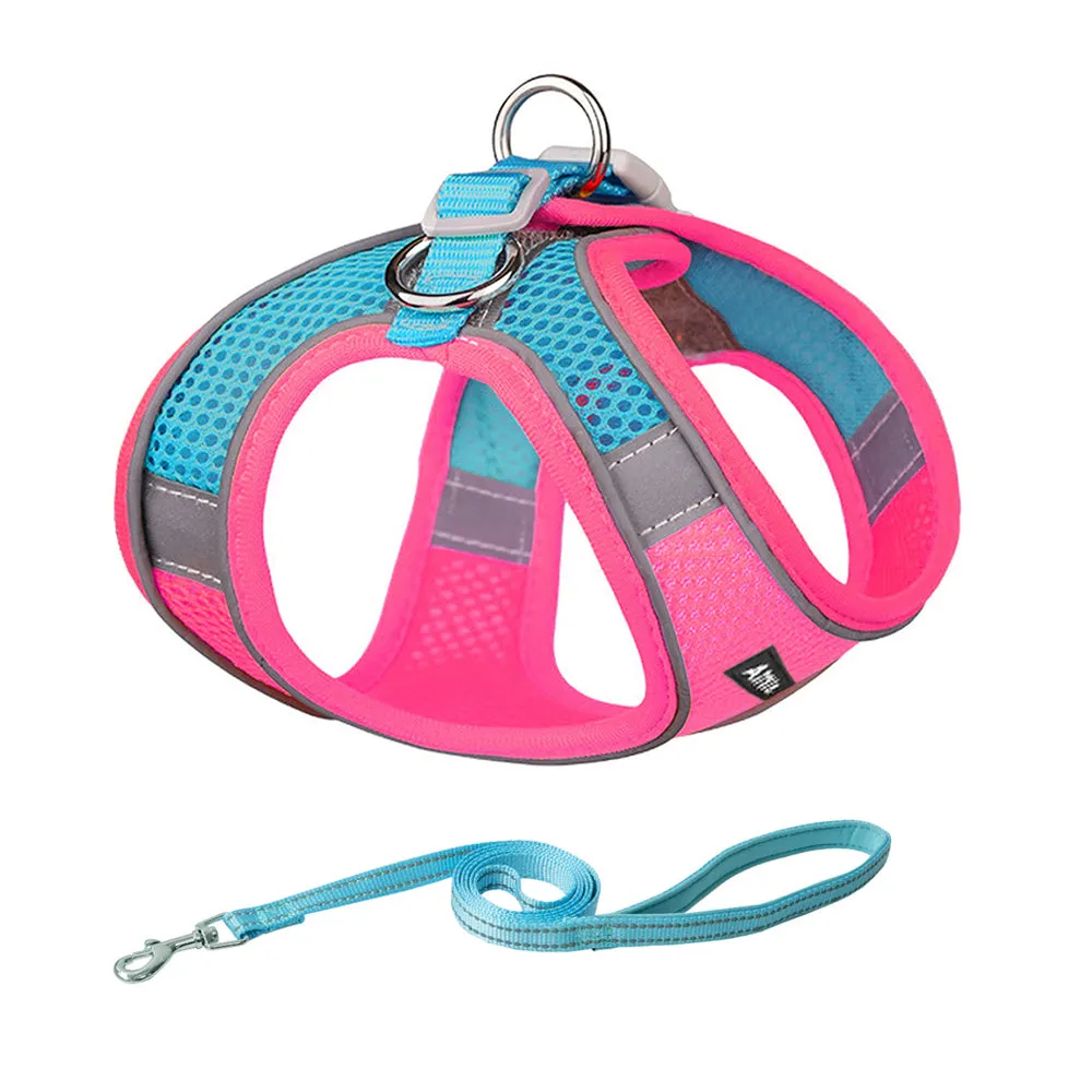 Aiitle Soft Adjustable Mesh Dog Harness Leash Set Turquoise
