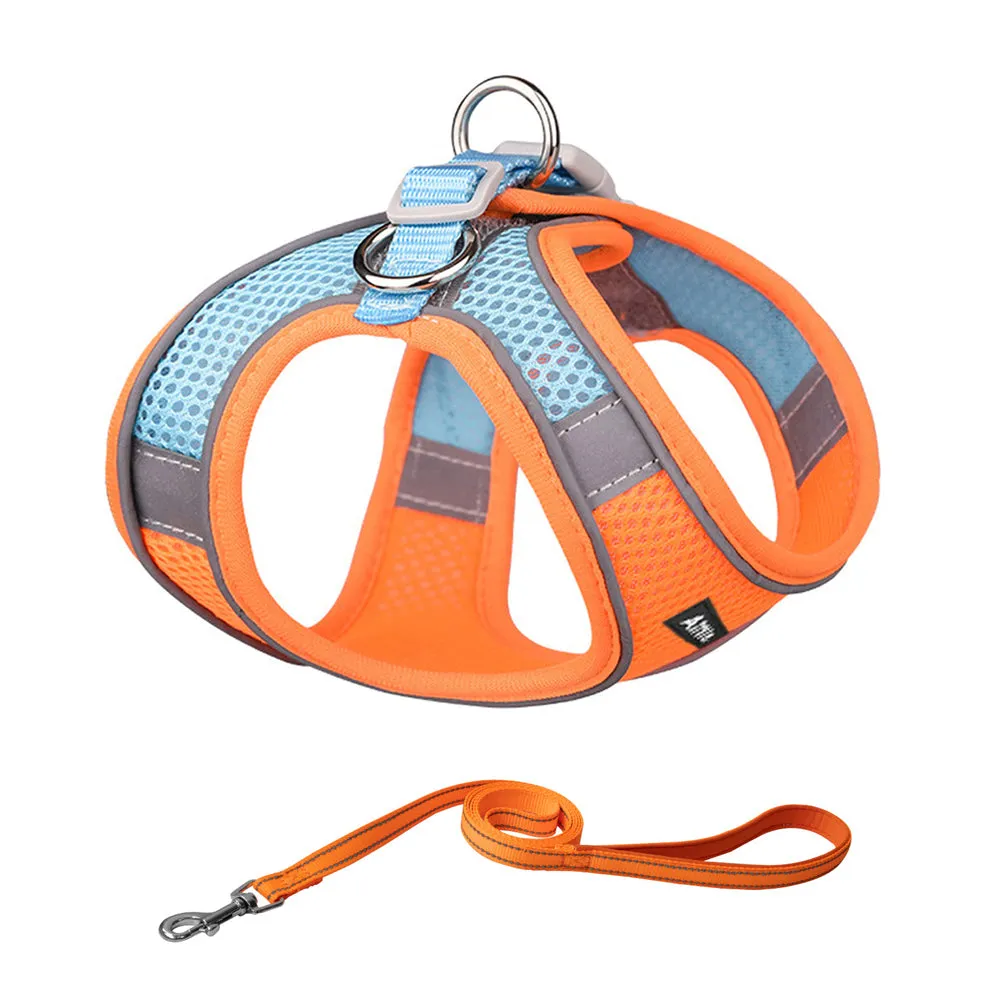 Aiitle Soft Adjustable Mesh Dog Harness Leash Set Turquoise