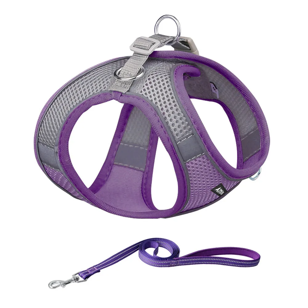 Aiitle Soft Adjustable Mesh Dog Harness Leash Set Turquoise