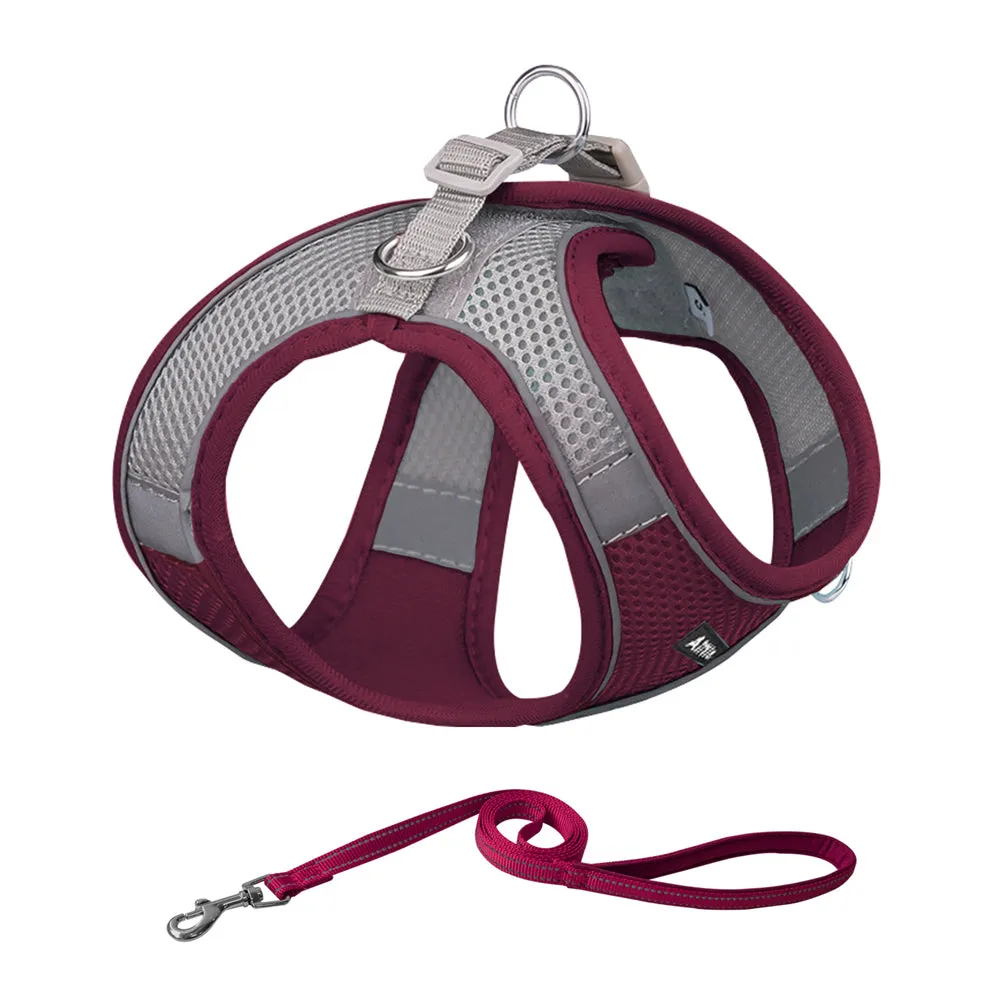 Aiitle Soft Adjustable Mesh Dog Harness Leash Set Turquoise