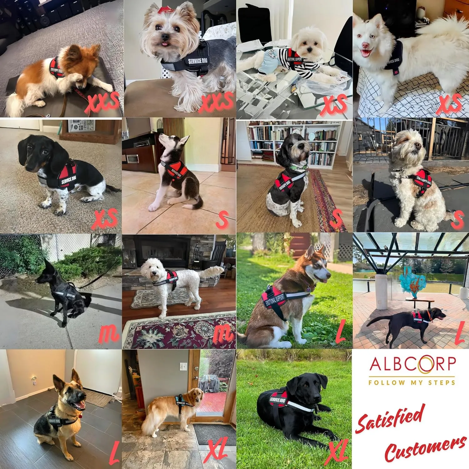 ALBCORP Reflective Service Dog Vest Harness  No-Pull Harness with Handle & Comfy Mesh Padding  Available in Sizes XXS-XL with 2 Removable Hook & Loop Service Dog Patches, Small, Green Camo