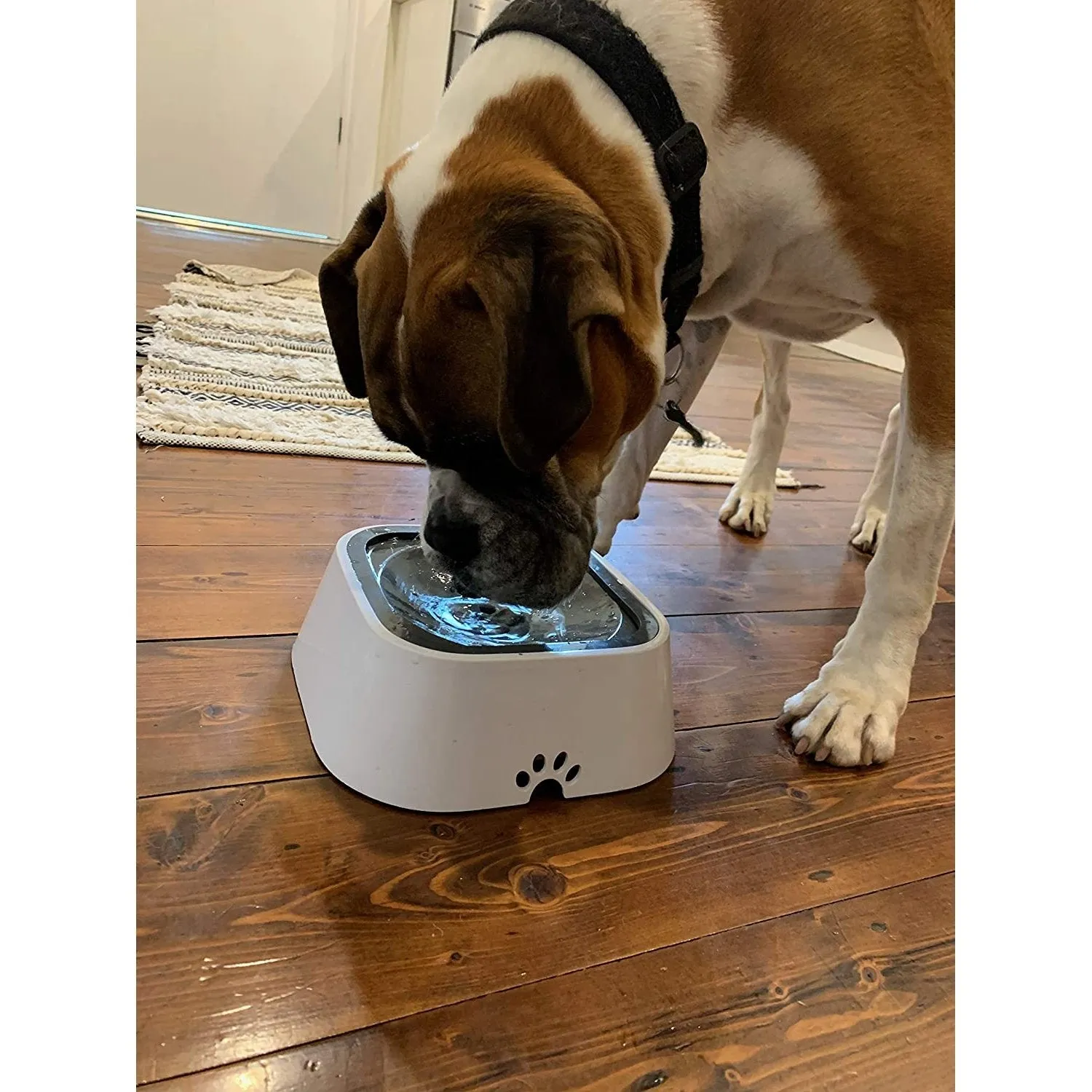 All Fur You Anti-Splash Dog Water Bowl 2L^^^