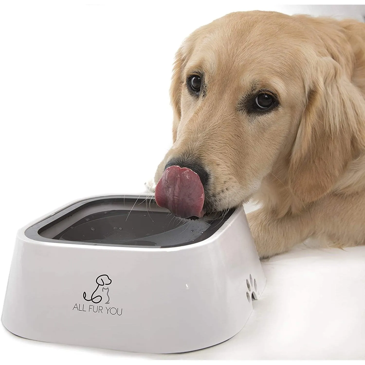 All Fur You Anti-Splash Dog Water Bowl 2L^^^
