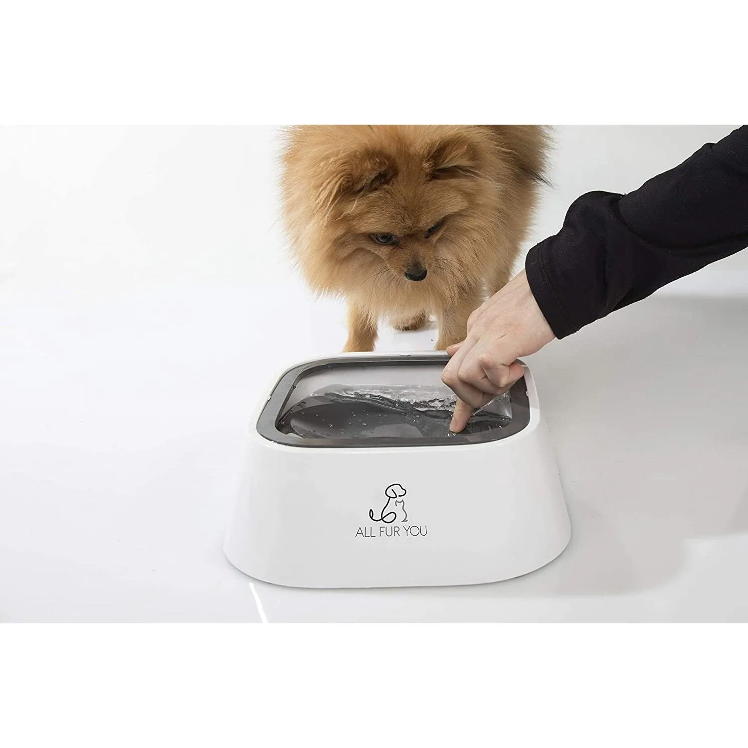 All Fur You Anti-Splash Dog Water Bowl 2L^^^