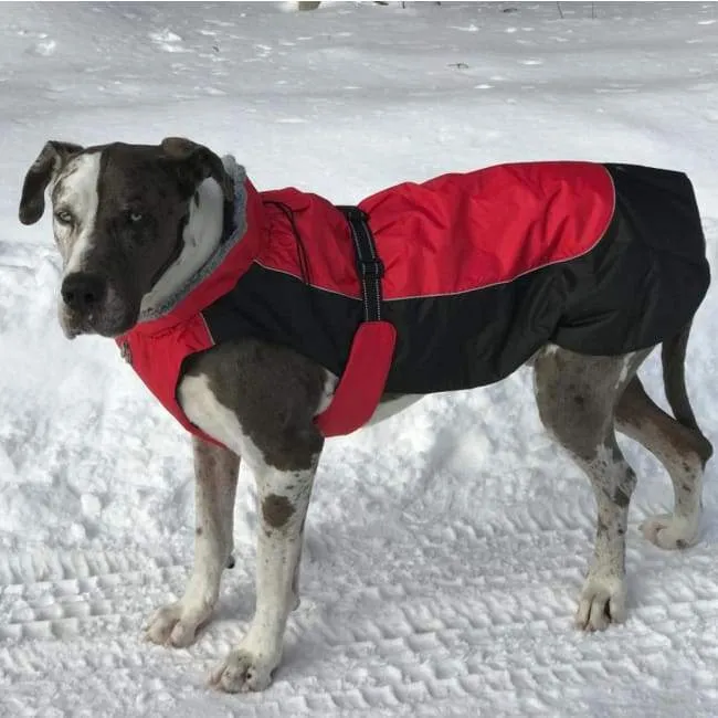 Alpine All Weather Coat - Red and Black