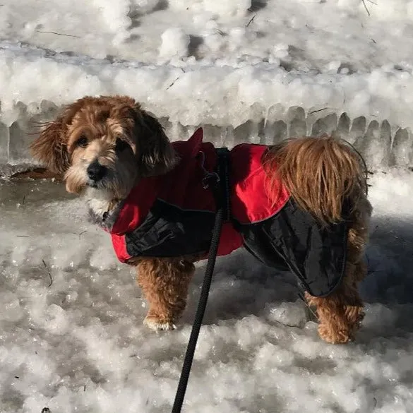 Alpine All Weather Coat - Red and Black