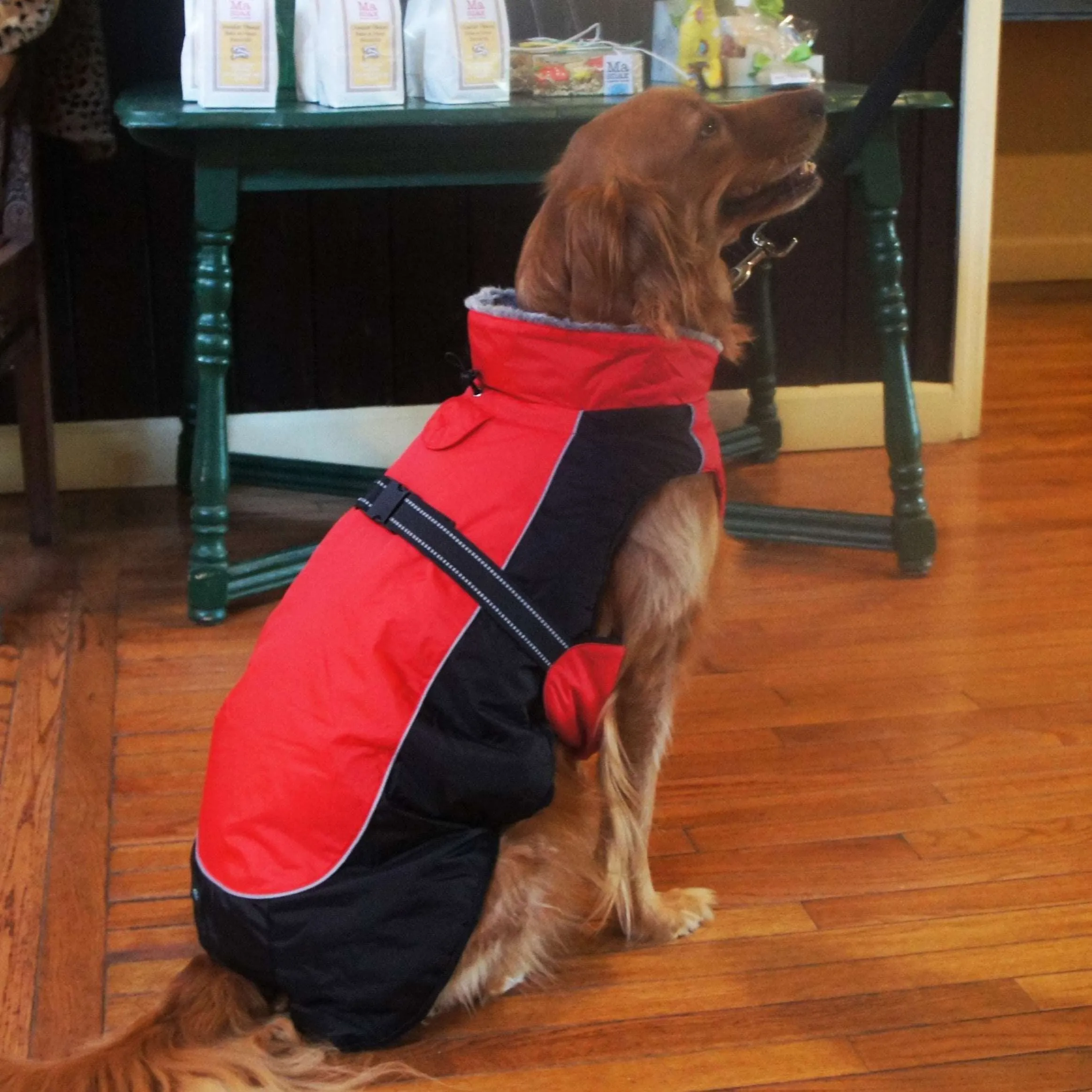 Alpine All Weather Coat - Red and Black