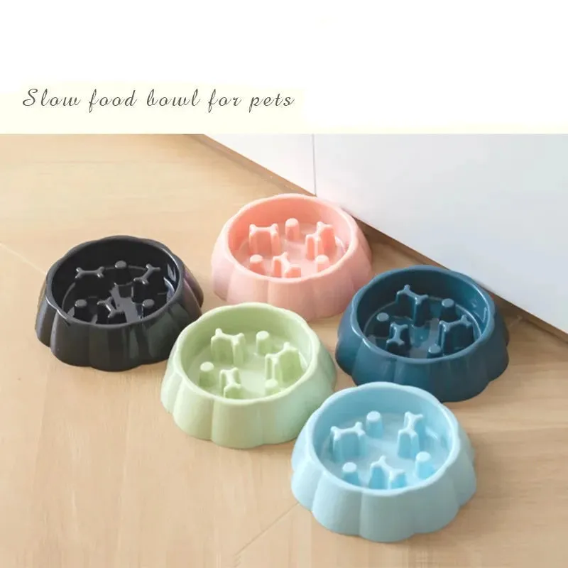 Anti-Choking Slow Feeder Bowl for Cats & Dogs