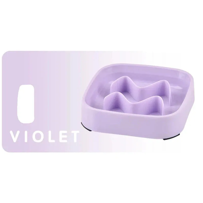 Anti-Choking Slow Feeder Bowl for Cats & Dogs