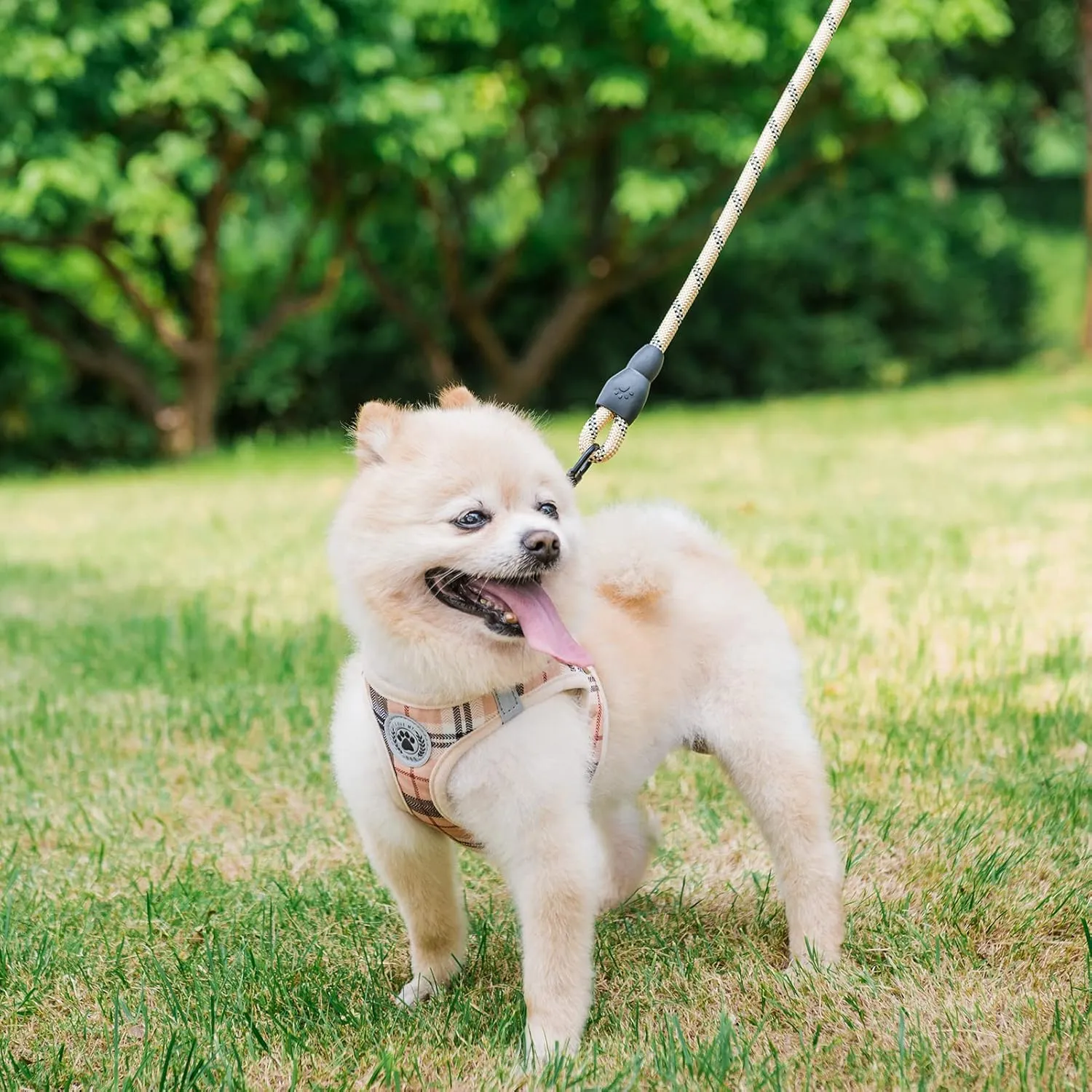 BEAUTYZOO Small Dog Harness and Leash Set,Step in No Choke No Pull Soft Mesh Dog Harnesses Reflective for Extra-Small Medium Puppy Dogs and Cats, Plaid Dog Vest Harness for XS S Pets, Beige XS