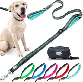 Black Rhino Double Handle Dog Leash - Heavy Duty Adjustable Leash for Large Dogs That Pull - Reflective Two Handle Neoprene Padded Design - 5 to 6 ft - Includes Pouch for Treats and Essentials - Aqua