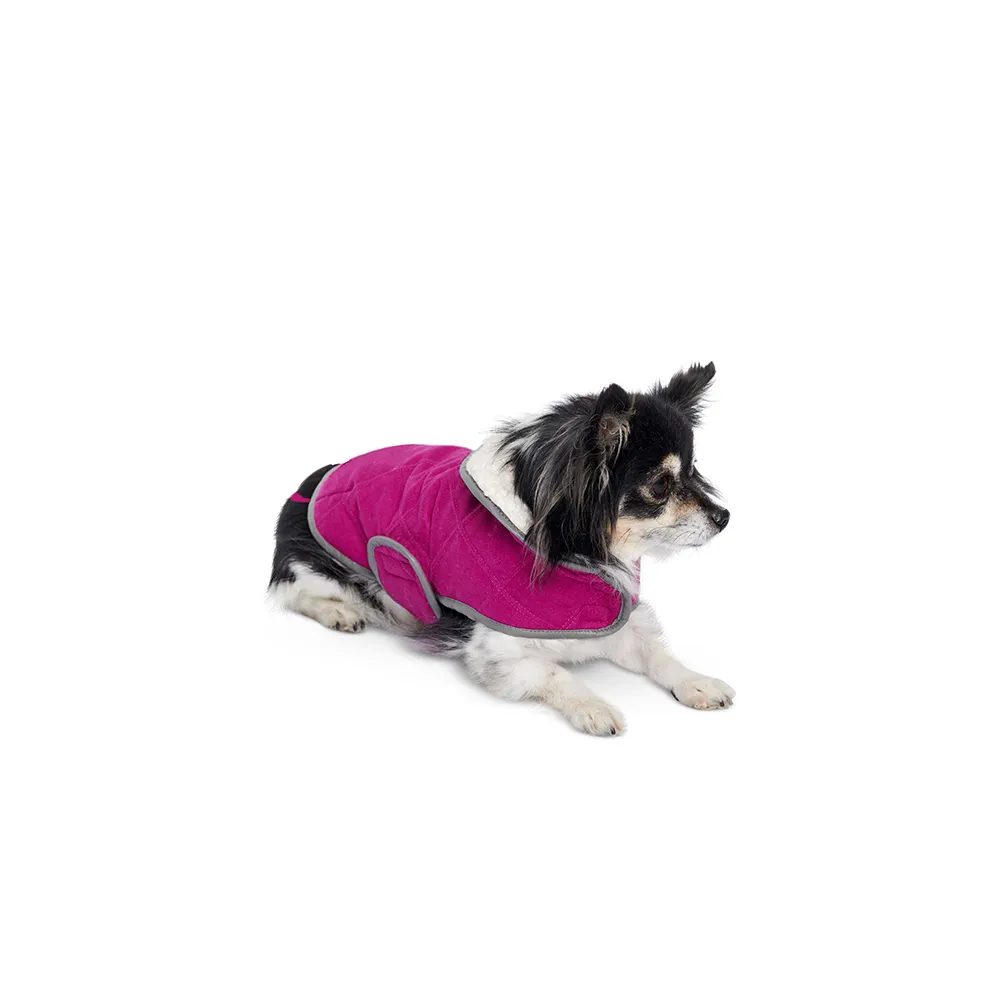 Burda 6049 Undefined Pet