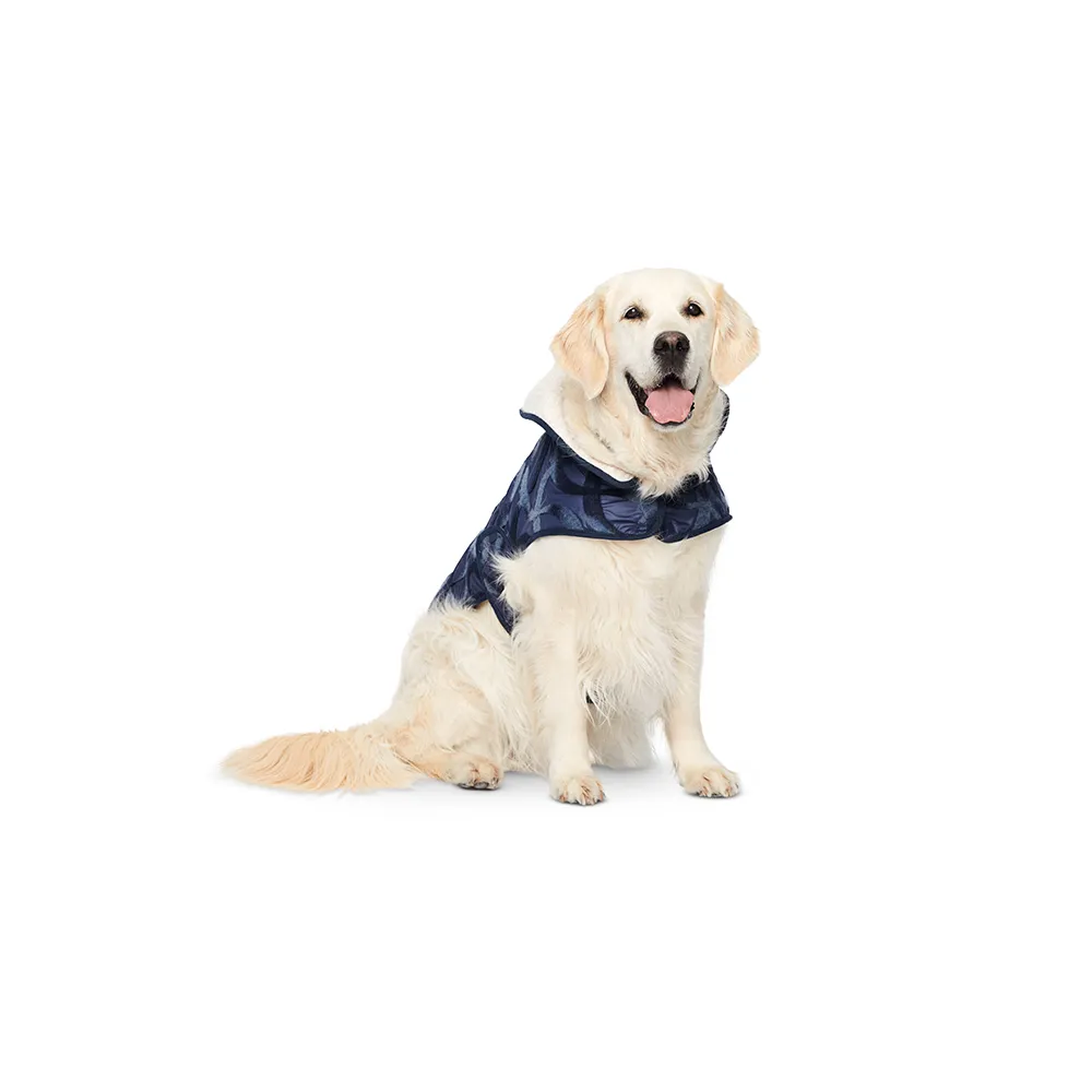 Burda 6049 Undefined Pet