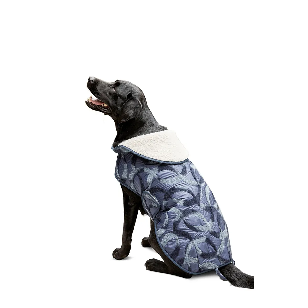 Burda 6049 Undefined Pet