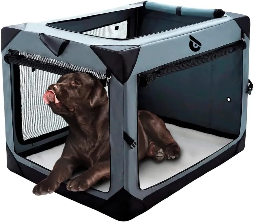 Collapsible Dog Crate - Outdoor Kennel Indoor - Foldable Dog Carrier - Portable with Mesh Windows - for Medium Dogs - Large