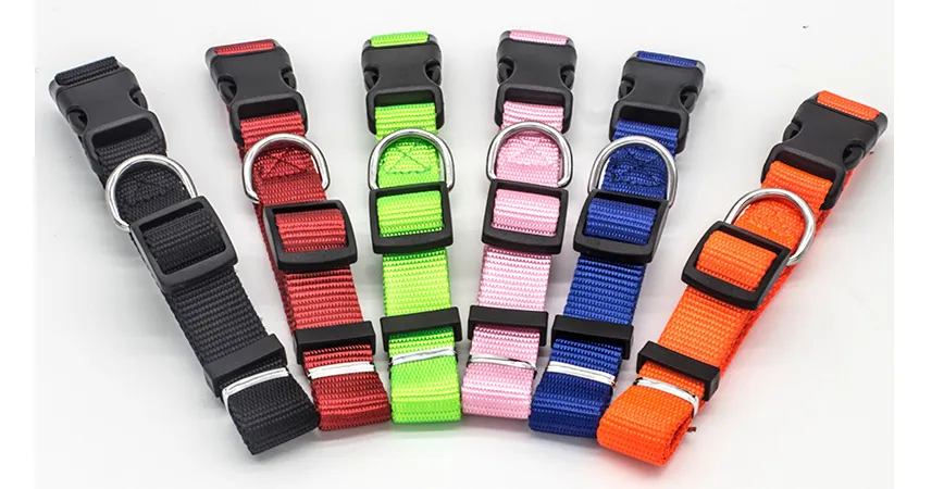 Colourful Pet Collar