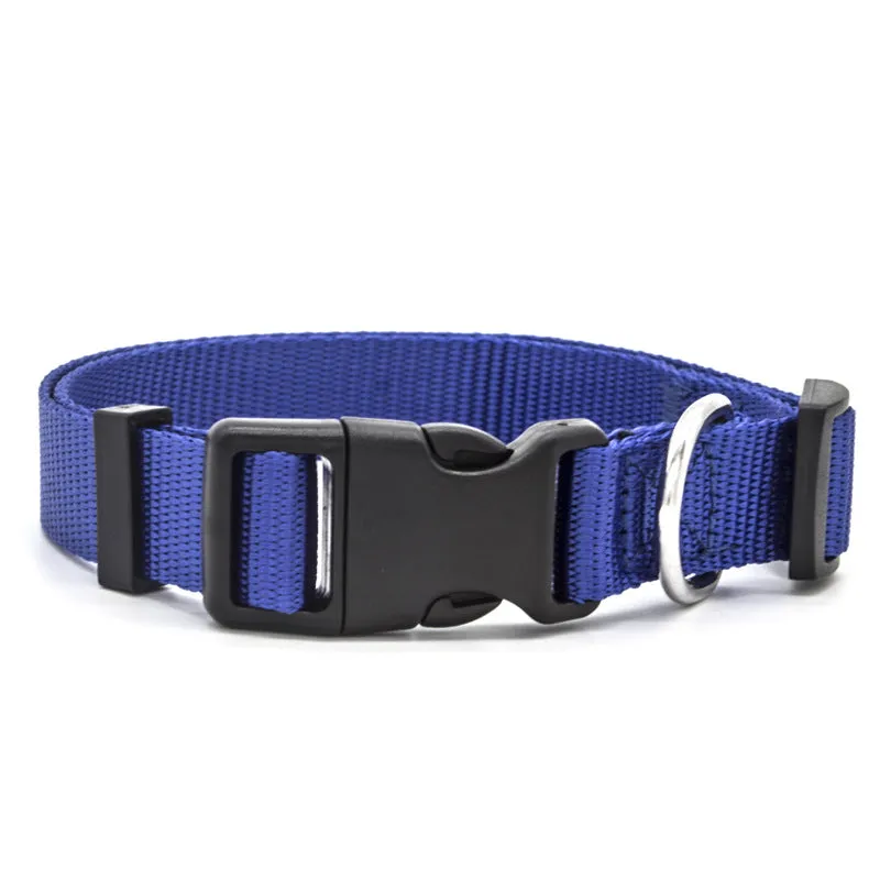 Colourful Pet Collar