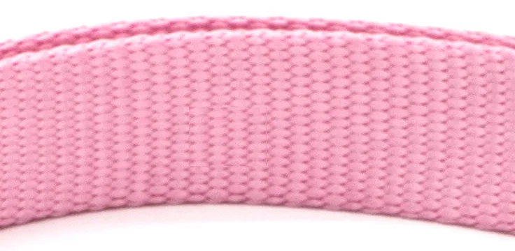 Colourful Pet Collar