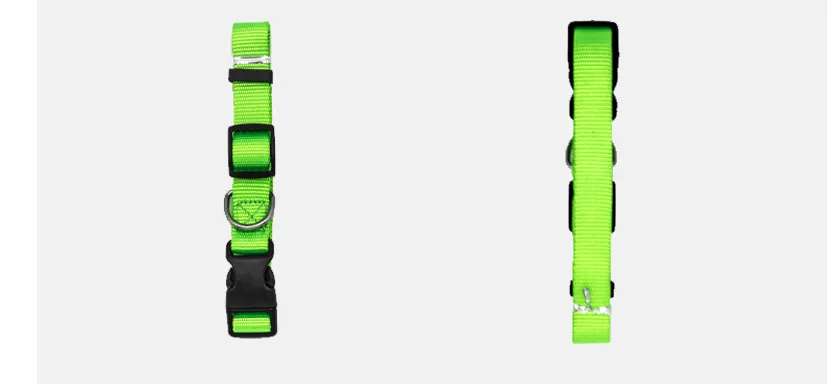 Colourful Pet Collar
