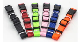 Colourful Pet Collar