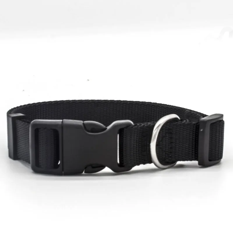 Colourful Pet Collar