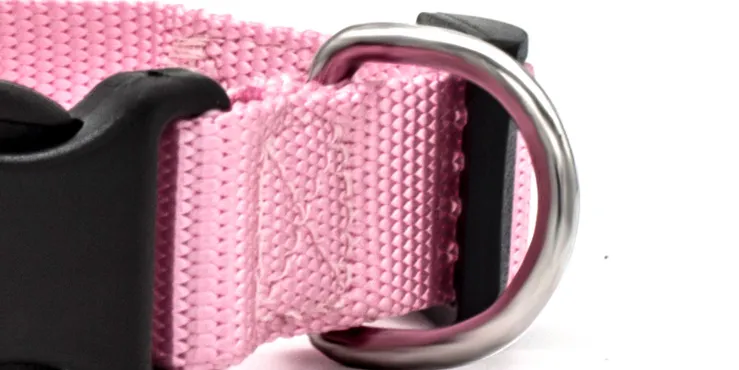 Colourful Pet Collar