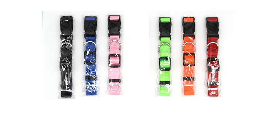 Colourful Pet Collar