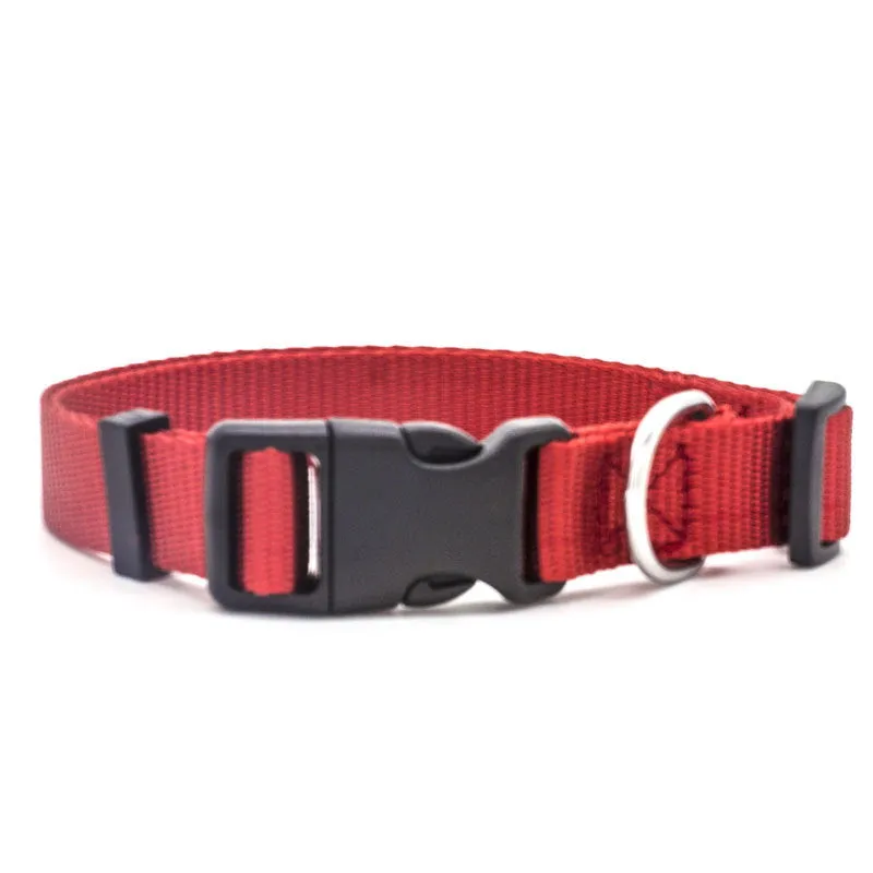 Colourful Pet Collar