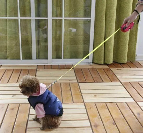 Compact Handy Leash