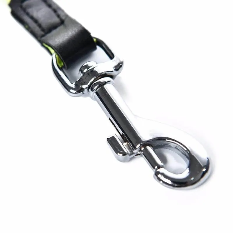 Compact Handy Leash