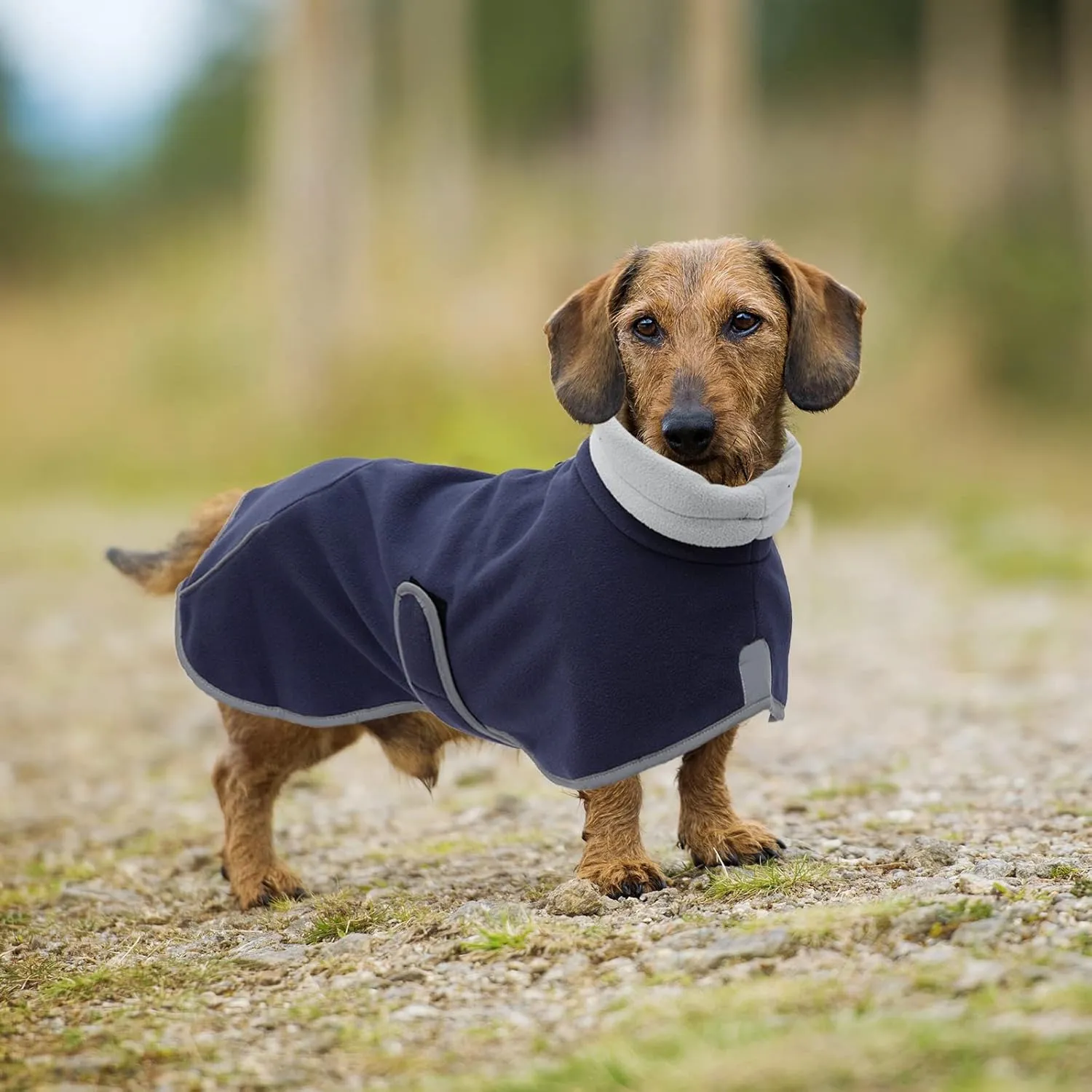 Dachshund Fleece Coats, Perfect for Dachshunds Sausage Weiner Puppy Winter Jacket with Reflective Trim and high Collar, Dog Snowsuit with Adjustable Bands - Navy - M