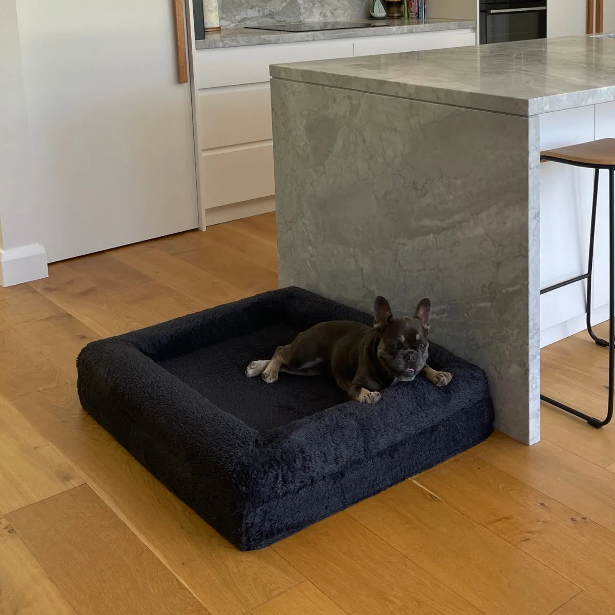 Dazy Dog Orthopaedic Memory Foam Dog Bed Midnight Blue Plush