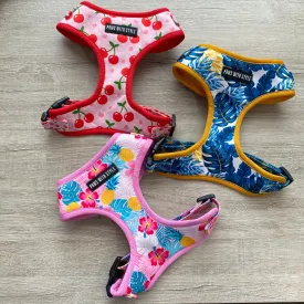 Dog Harness