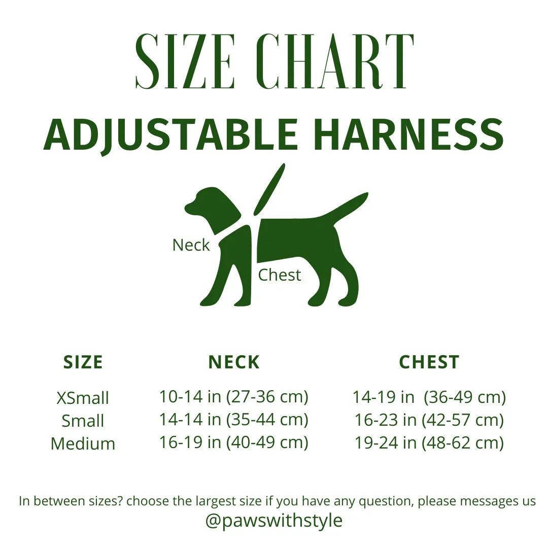 Dog Harness