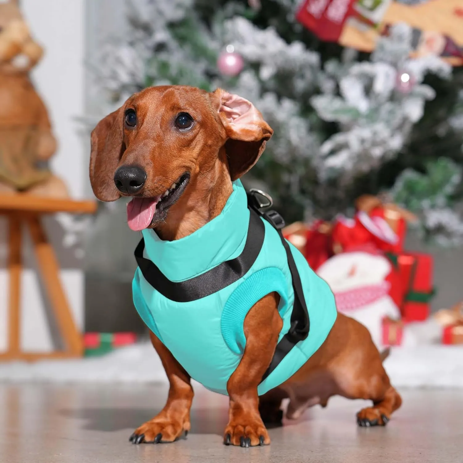 Dog Jacket with Harness,Fleece Lined Warm Puppy Coat for Winter,Soft Windproof Small Dog Vest,Bluegreen M