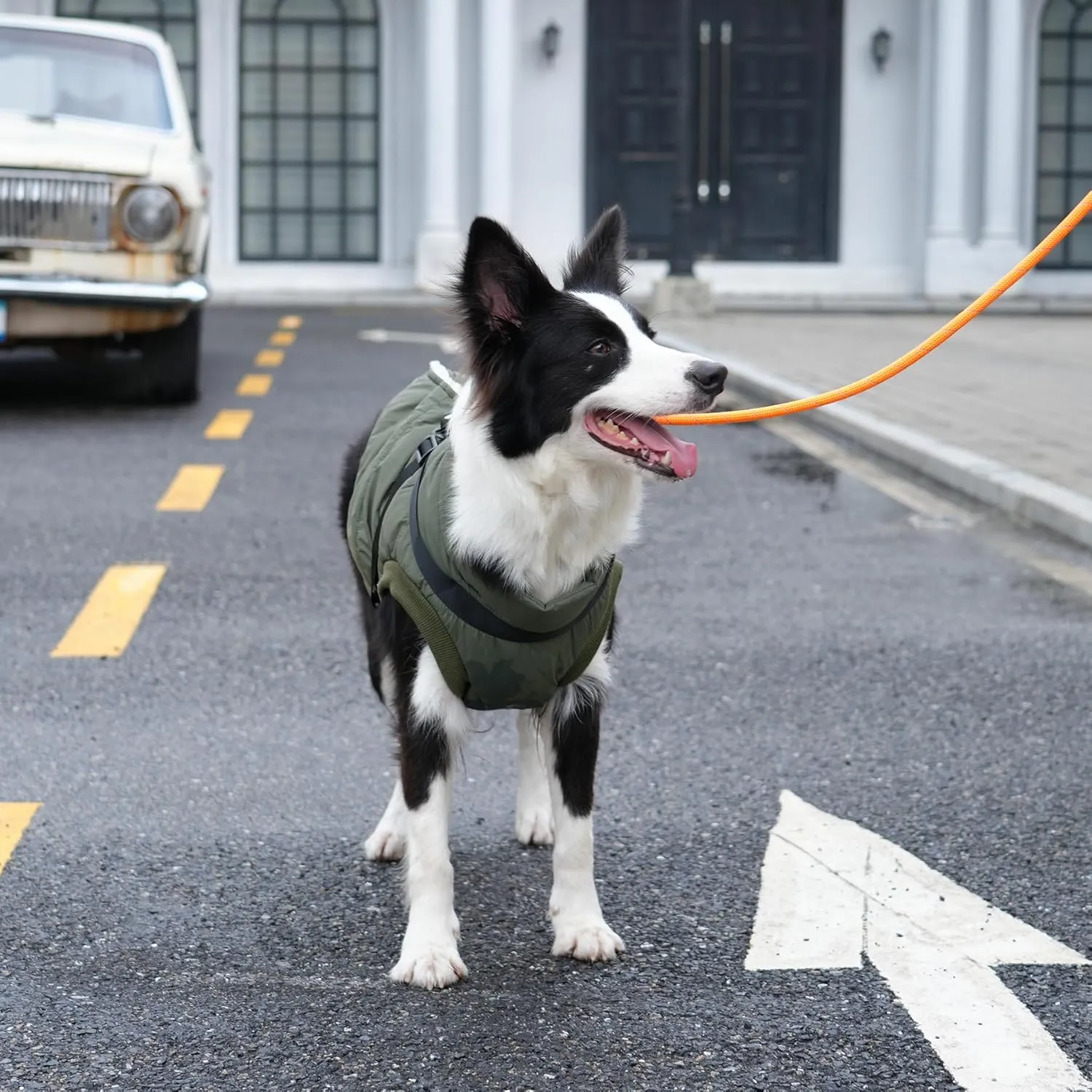 Dog Jacket with Harness,Fleece Lined Warm Puppy Coat for Winter,Soft Windproof Small Dog Vest,Green M