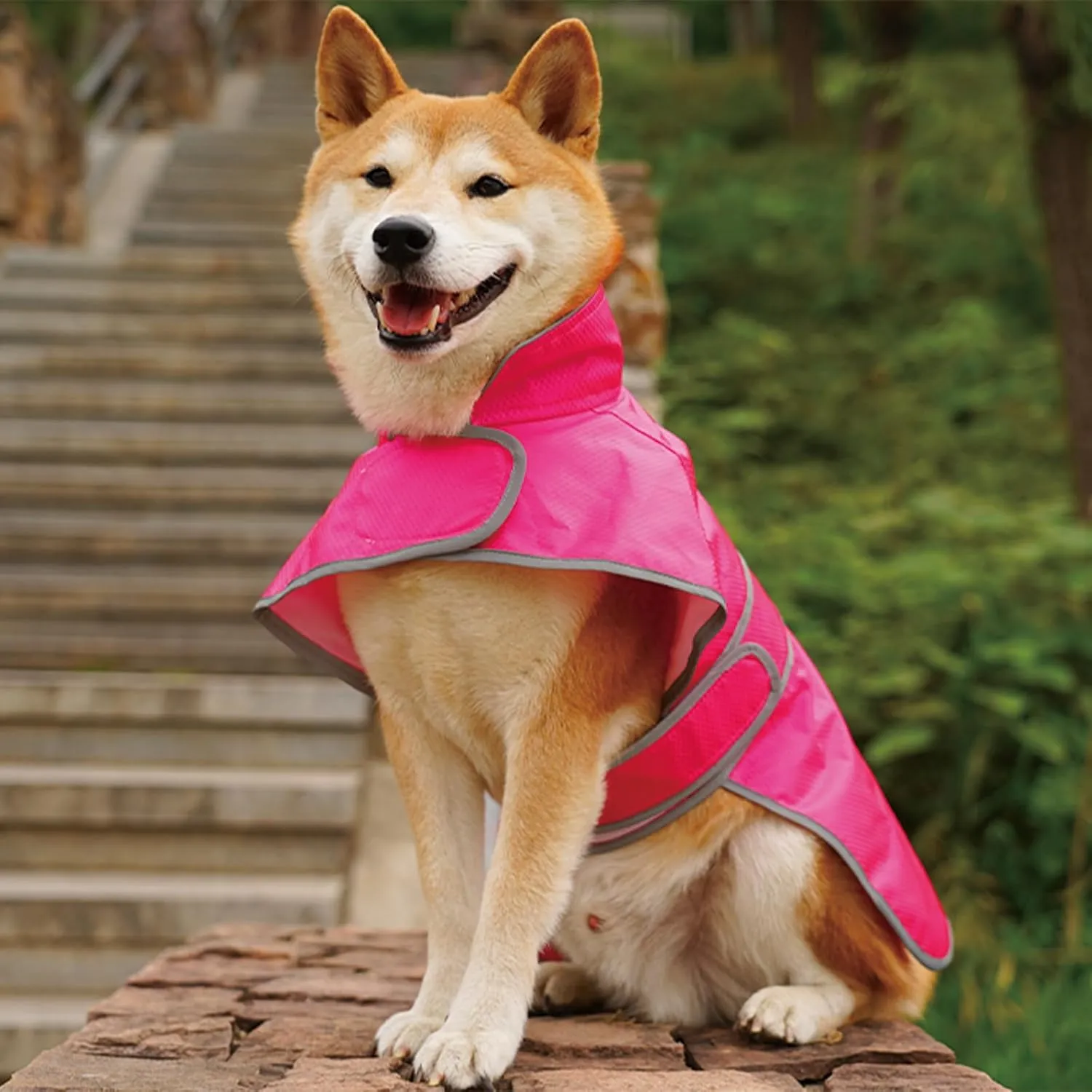 Dog Raincoat| Waterproof Adjustable & Lightweight Dog Jacket with Reflective Strips| Easy Step-in Closure for All-Weather| Fits Small Medium Large Dogs(Rose Red,Large)
