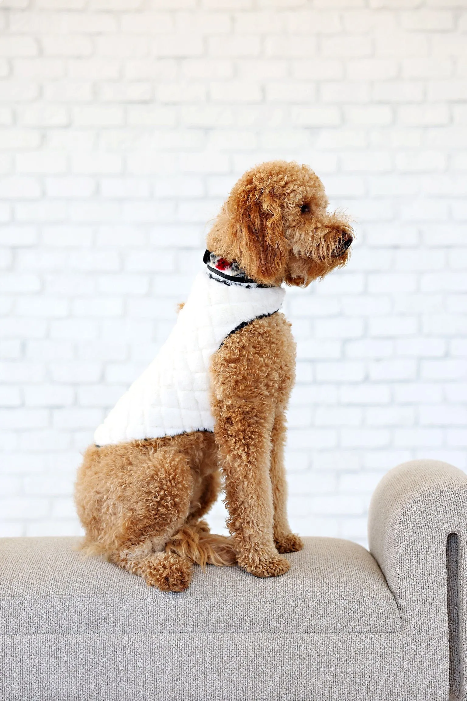 Dog Vest JulesRoche Minky Fabric Harness Access Medium-Large