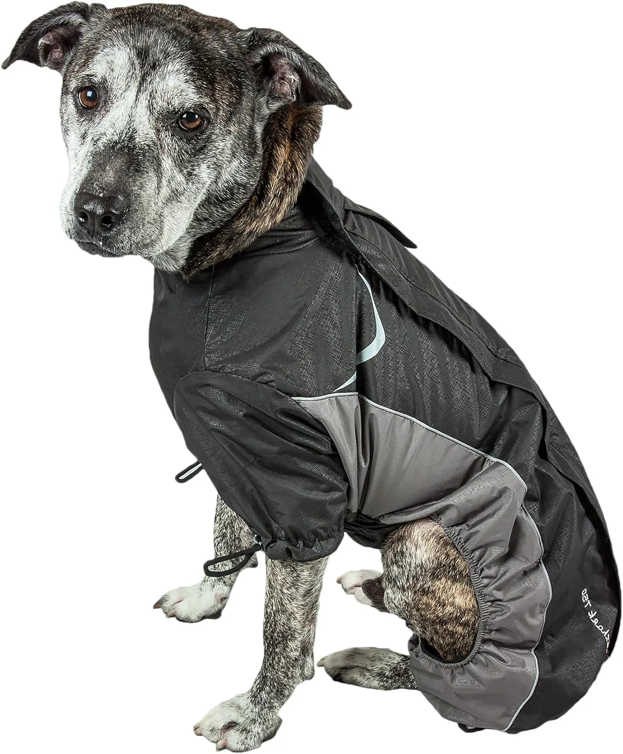 DOGHELIOS 'Blizzard' Full-Bodied Comfort-Fitted Adjustable and 3M Reflective Winter Insulated Pet Dog Coat Jacket w/ Blackshark Technology, Small, Black