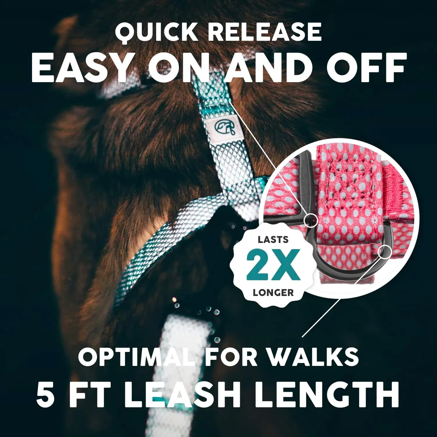 Embark Illuminate Reflective Dog Leash for Night Walking - 5 Ft Long and 3/4 Inch Width Dog Leash for Large Dogs, Made with Reflective Leash Material Throughout Light Up Dog Leash (Pink)