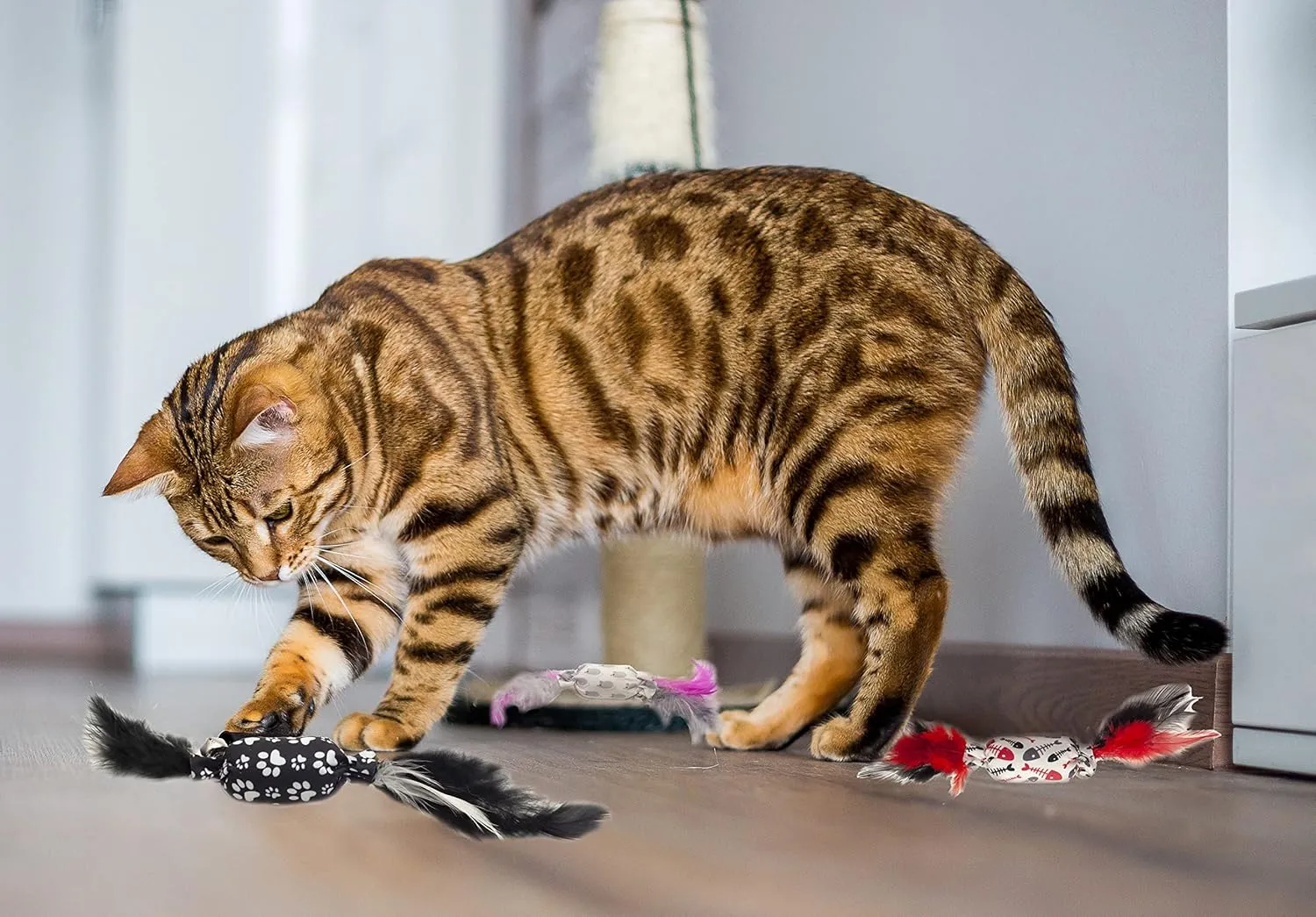 Fashion's Talk 10PCS Assorted Candy-Shaped Catnip Cat Toy with Feathers and Bell for Indoor Cats,Kitten.Natural Catnip Filling and Crinkle Sound for Endless Fun