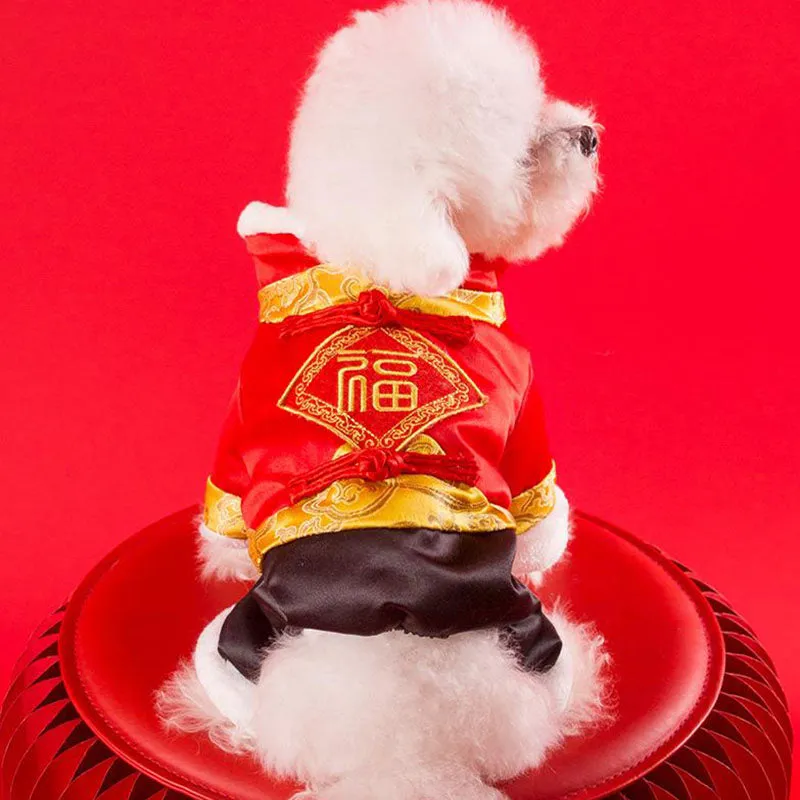 Festive warm clothes for dogs and cats