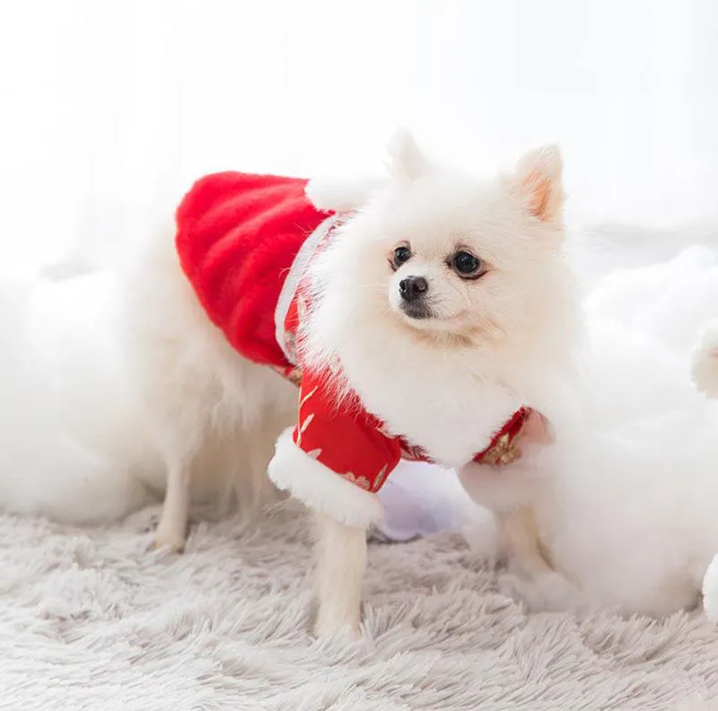 Festive warm clothes for dogs and cats