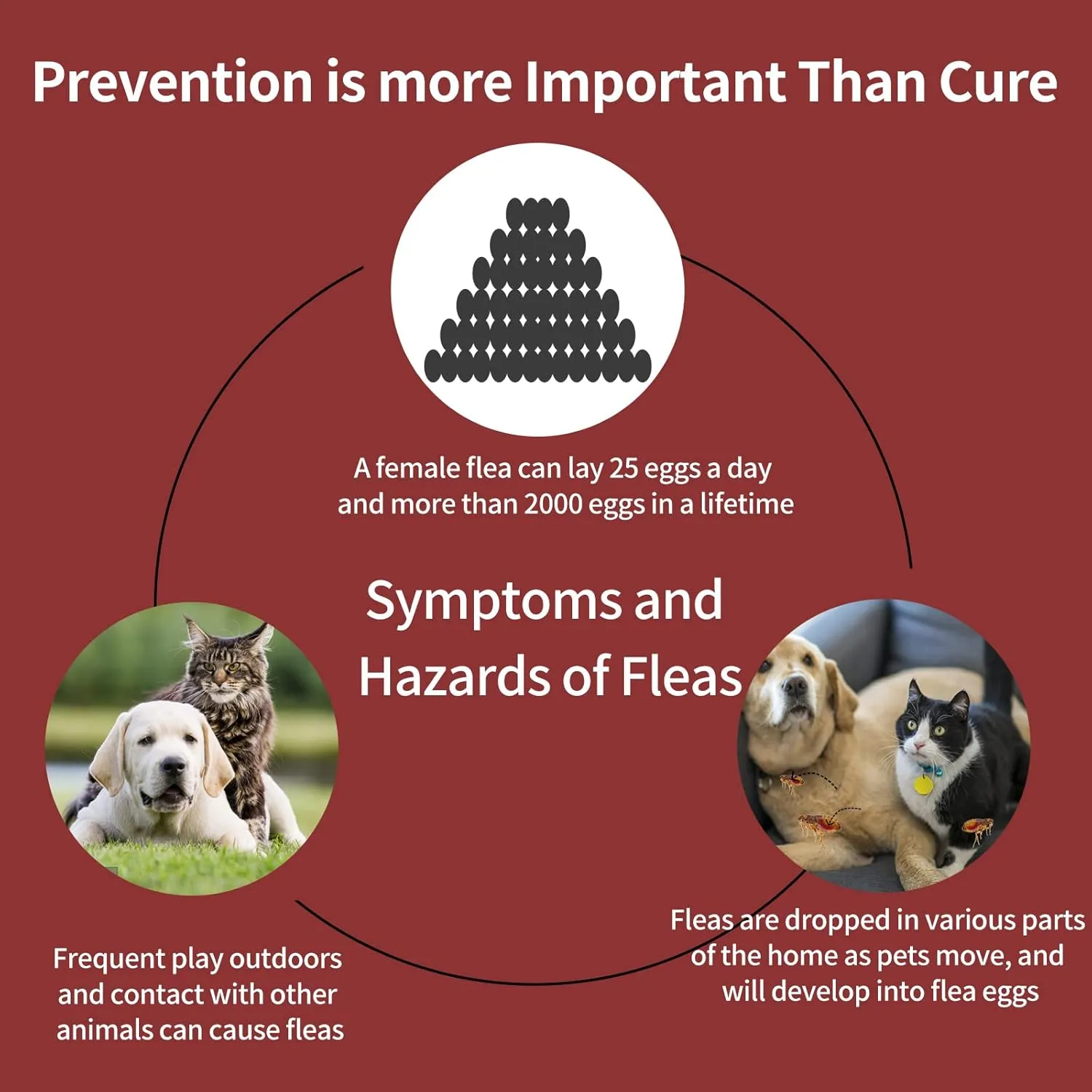Flea and Tick Prevention for Dogs, X-Large Dog Flea & Tick Control with Fipronil, Long-Lasting & Fast-Acting Topical Flea & Tick Treatment Drops for Extra Large Dogs, 89 to 132 lbs, 3 Doses