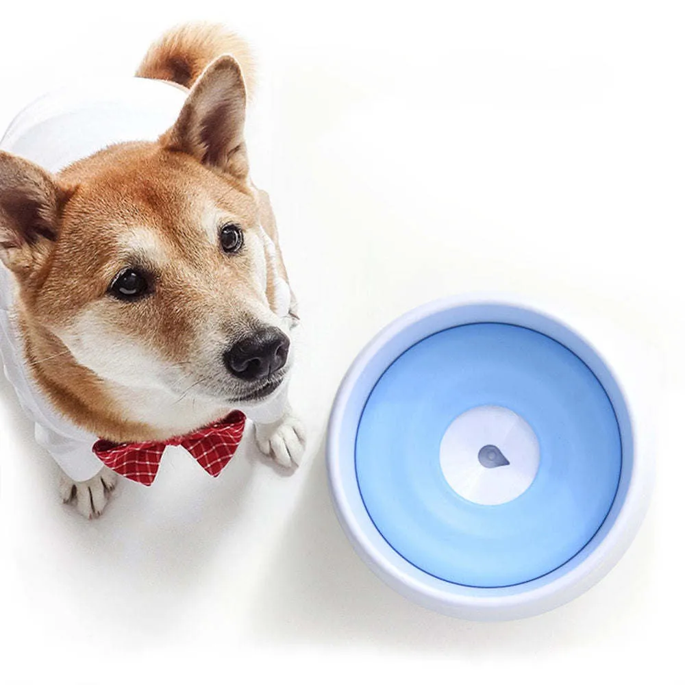 Floating Water and Food Bowl Dishes