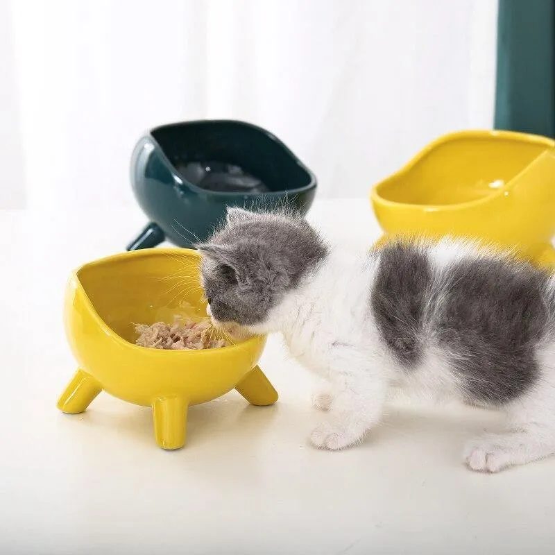 Frog Style Cat Bowl