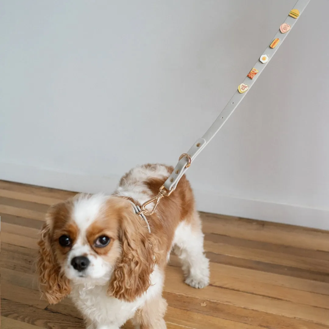 Furei MOODIES 4-in-1 Leash (Add Moodies Charms!)