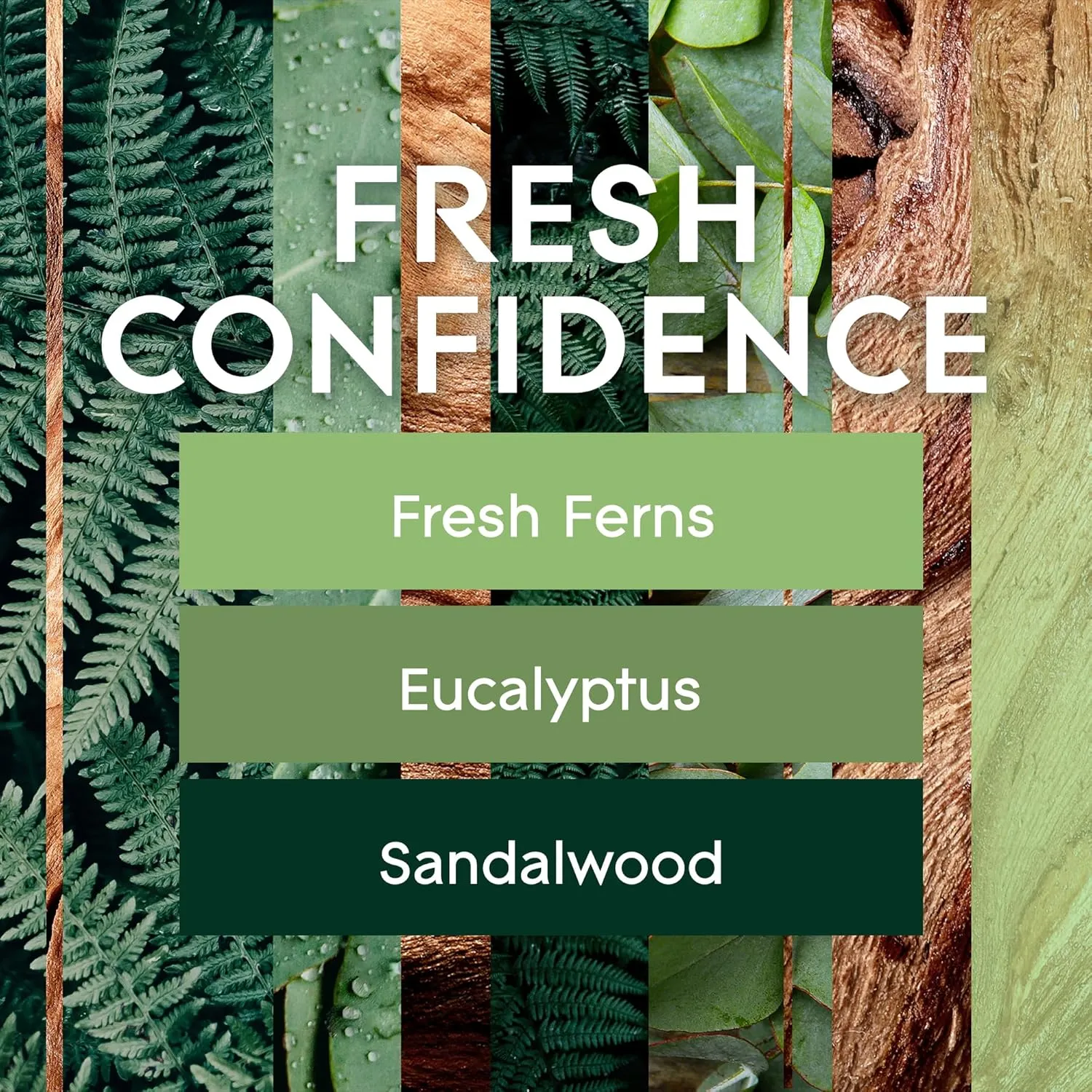 Glade PlugIns Refills Air Freshener, Fresh Confidence, Scented and Essential Oils for Home and Bathroom, 0.67 Fl Oz, 5 Count