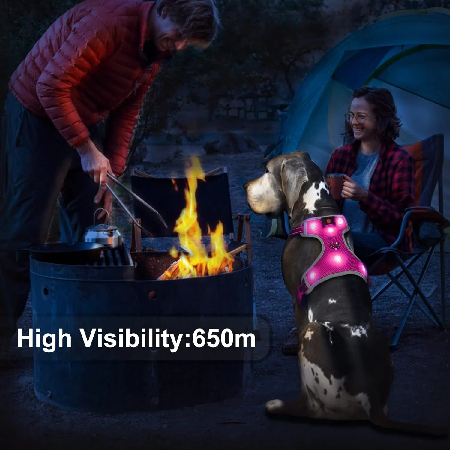 Glow in The Dark Dog Harness USB Rechargeable(Pink, L)
